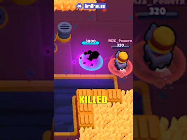 TARA PET GOES ON INSANE KILLSTREAK!?