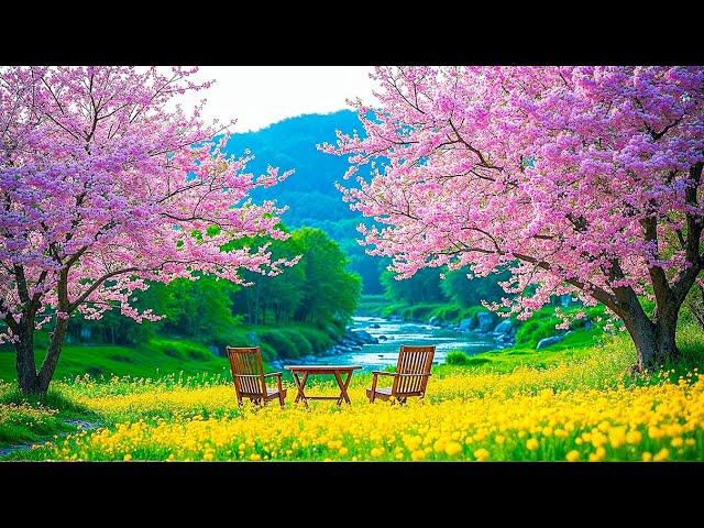 Relaxing Music to Combat Overthinking and Anxiety  Calming Harmony for Your Mind and Body