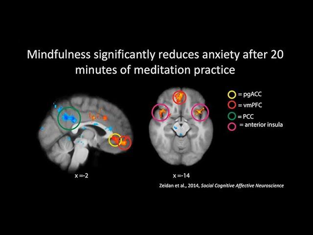 The Neuroscience of Meditation, Mindfulness, and Compassion