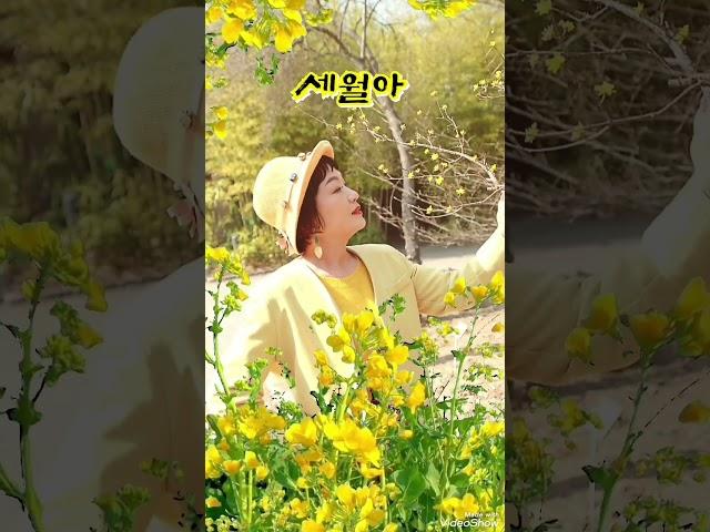 #세월아 #장윤정 #김영희우리옷tv