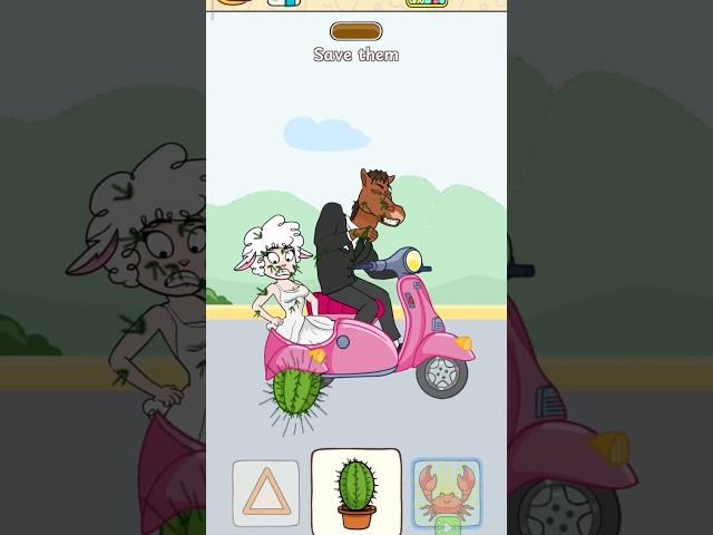 can you use cactus tires?! 