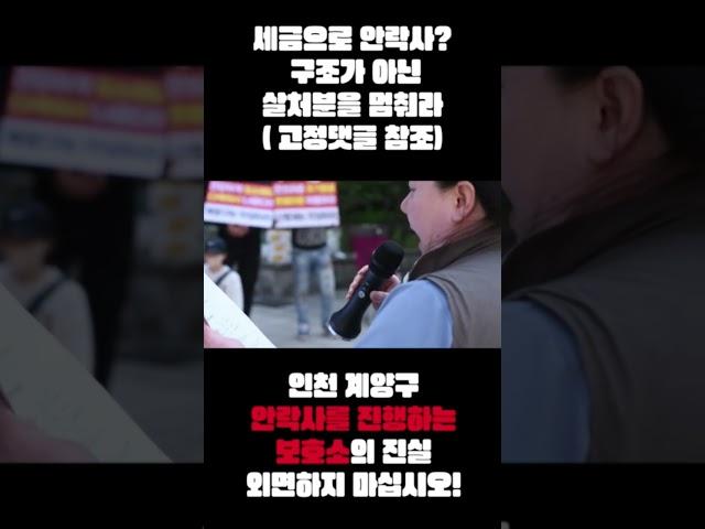 세금으로 안락사? 구조가 아닌 살처분을 멈춰라( 고정댓글 참조)