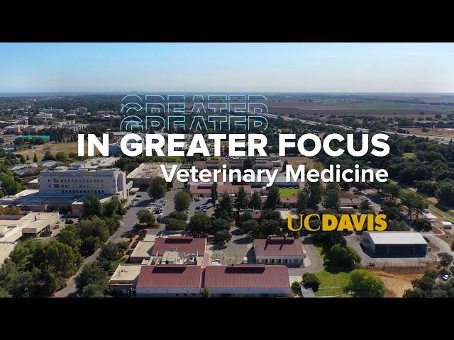 Advancing Cancer Research for Animals and Humans | UC Davis School of Veterinary Medicine