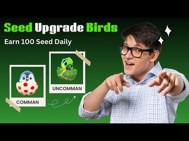  How to upgrade birds in Seed Mining app for free | SEED App New Update