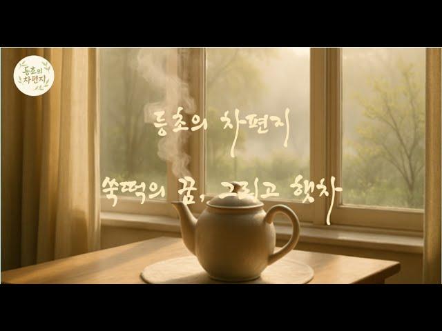 등초의 차편지 쑥떡의 꿈 그리고 햇 차 #차에세이, #감성, #마음챙김 #인생 #힐링 #생각 #심리