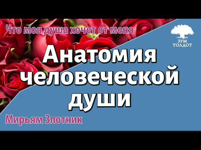 Урок для женщин. Анатомия человеческой души. Мирьям Злотник