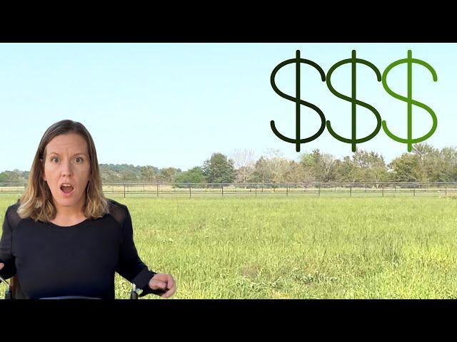 Surprise Costs After We Bought Land (They Add Up!)