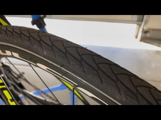 Schwalbe Marathon Plus tires are basically indestructible!