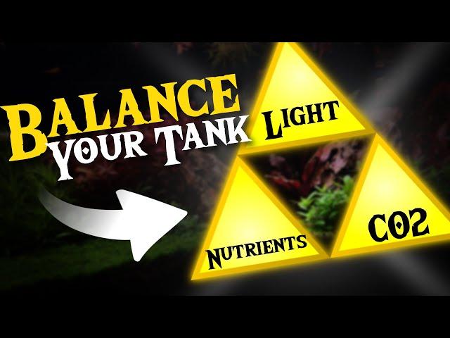 Balance Your Planted Tank with This Ultimate Technique!