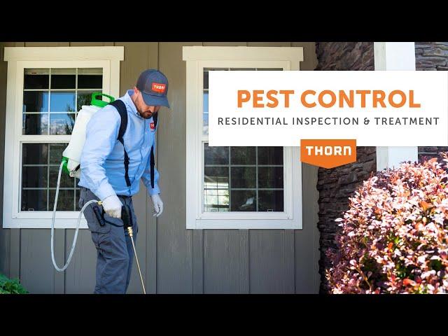 Keep Your Home Pest Free with Thorn Pest Solutions