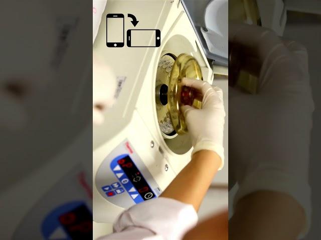 Understanding Centrifugation: A Process of Separating Particles Based on Density | SGK English