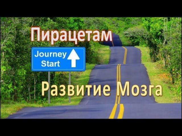 Пирацетам: Исследования, Развитие Мозга