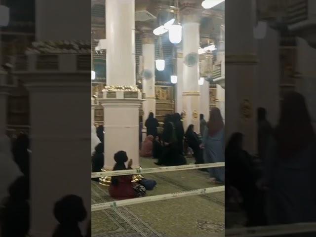 Riaz ul Jannah ladies side/riyad ul jannah #riazuljannah #rozaerasoolﷺ #roza #shortsfeed#madinahlive