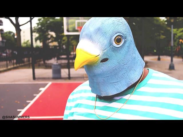 Sha Summers - "Ima Bird" (FULL VIDEO)