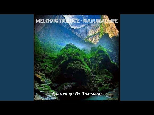 Melodic Trance - Natural Life