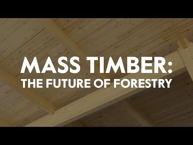 Mass Timber: The Future of Forestry | Keeping Forests