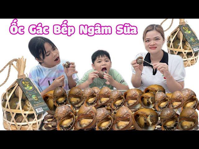 Ốc Gác Bếp Được Làm Như Thế Nào Nó Còn Sống Hay Không [ Trang And Vinh TV ]