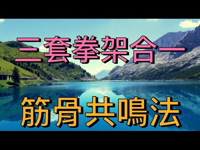 適中總院“陳適當師父                      演練：鄭子太極拳（3套拳架）          ️需專業師父教導#taijiquan