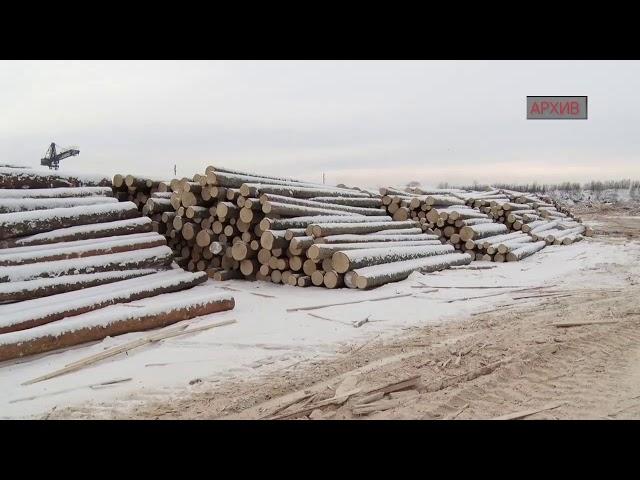 ИЛАНСКОГО ПОЛИЦЕЙСКОГО ПОСАДИЛИ ЗА ВЗЯТКУ