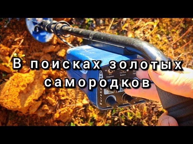 В поисках золотых самородков