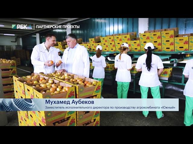 Как выращивают огурцы и томаты в Черкесске.  Сделано в России РБК