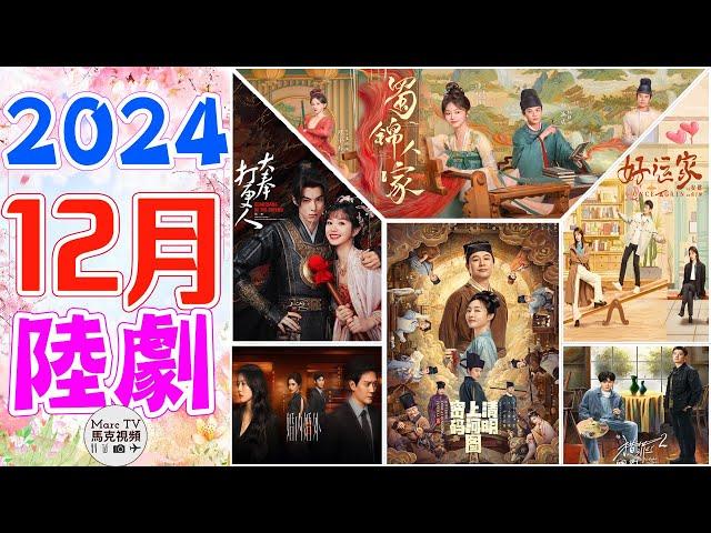 2024年12月陸劇介紹│12月七部壓軸大劇震撼開播~比比有多精彩？【十二月大陸劇】