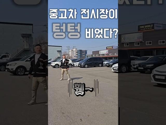 현시점 중고차 전시장의 모습 #중고차 #중고차시장 #쇼츠