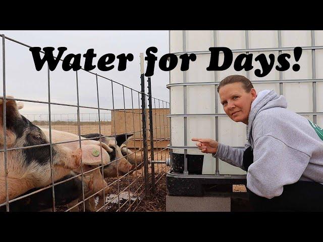 How To Build an IBC Tote Pig Water Drinker | Parts Detail