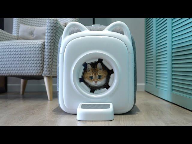 Cat Grooming Revolutionized - PawSwing Purrring Automatic Cat Self-Groomer