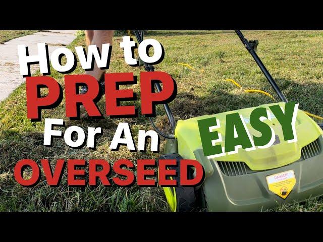 Prepare the Lawn for Overseeding