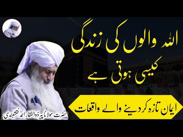 Allah Walon Ki Zindagi Kaisi Hoti Hai Allah Walon Ky Waqiat Peer Zulfiqar Ahmad Naqshbandi