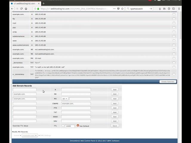 DirectAdmin - How to edit DNS entries?