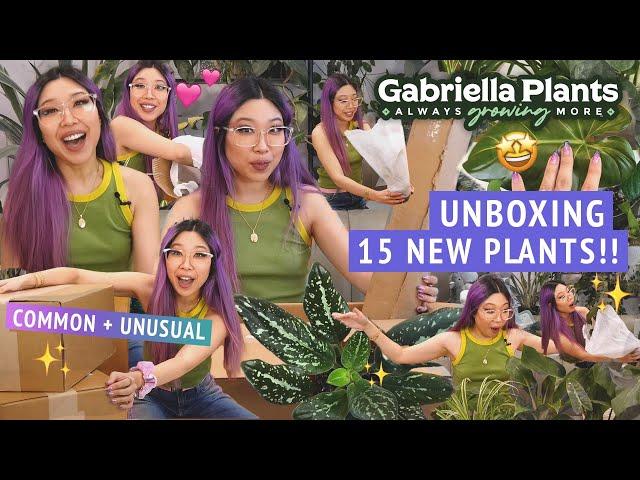 HUGE UNBOXING!! 15 NEW DELIGHTFUL HOUSEPLANTS  super common to very weird  GABRIELLA PLANTS