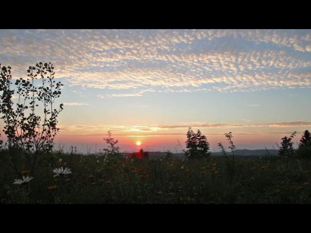 Summer Sunset With Crickets and Birds Singing / 1 Hour