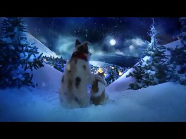 Chris Norman Christmas Song