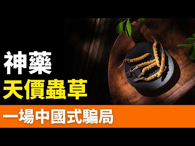 崩了！冬蟲夏草！抗癌？包治百病？中藥之王？全是假的！人造滋補聖品！一個收取智商稅的靶子：一斤幾十萬元，不僅謀財，而且害命！