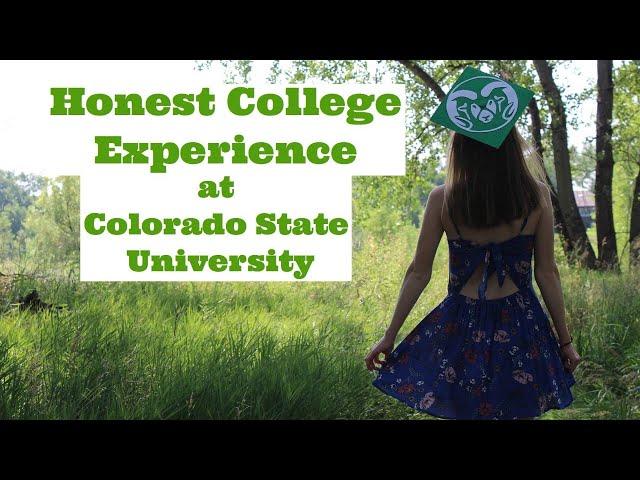 my honest college experience | Colorado State University