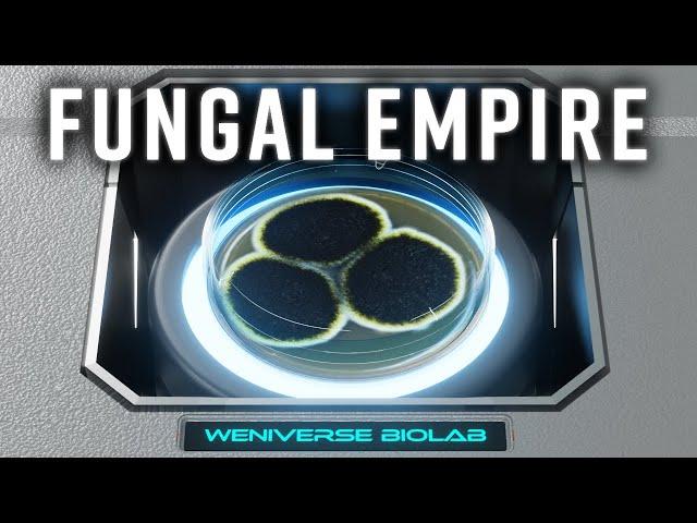 Fungal Empire (4K) | The reason we should love mold