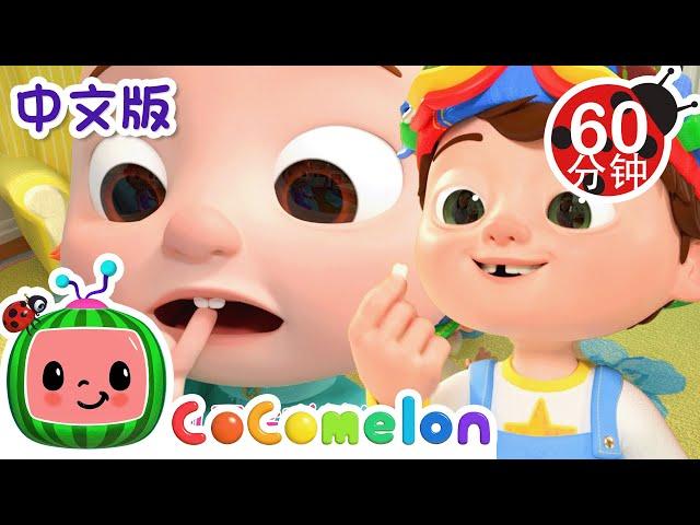 牙齿松动歌 | 大合集 | 經典熱門兒歌 | Kids Song | 動畫 | 童謠 | 儿童学习 | 卡通片 | CoComelon 中文 | Nursery Rhymes