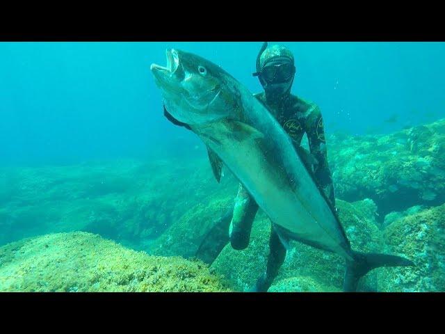 TOP 10 SHOTS - Pesca Submarina en Canarias