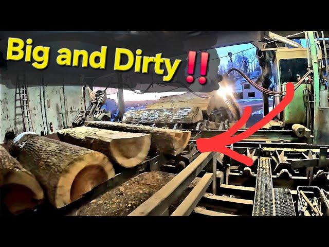 Sawing huge split logs