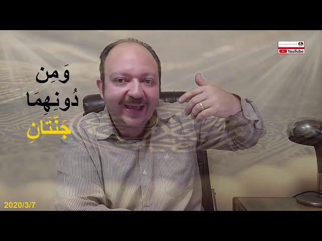تحدي الدكتور #علي_منصور_كيالي ماذا يوجد فوق البعوضه وهذا هو الرد  الجزء الثاني