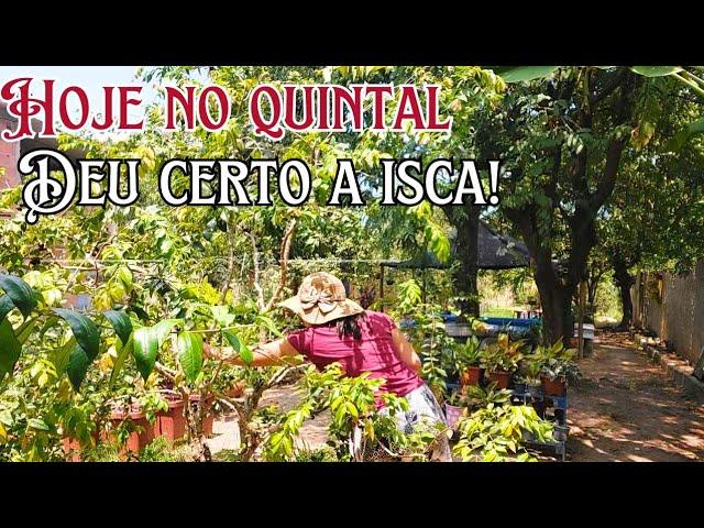 FICAMOS FELIZ COM O QUE ENCONTRAMOS | A ISCA DEU CERTO 