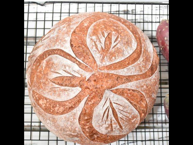 Prickly Pear Sourdough Bread