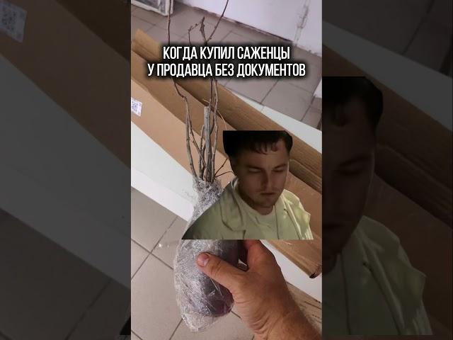 Почему так ВАЖНЫ ДОКУМЕНТЫ при ПОКУПКЕ САЖЕНЦЕВ