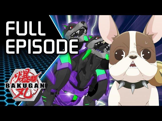 Lightning Discovers A New Bakugan! | S1E6 | Bakugan Classic Cartoon