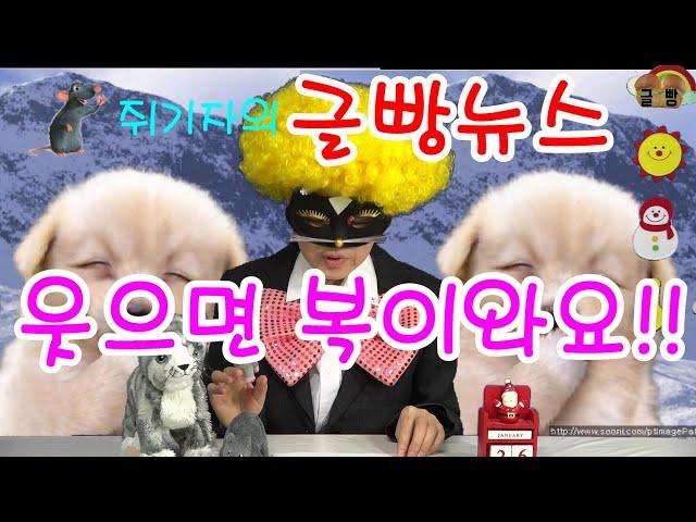 글빵 뉴스 ( geulbbang news) 웃으면 복이 와요 Smile