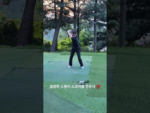 574화) 골프 잘 되세요? (feat. 조브로) #골프 #골프스윙 #golf #golfswing #골프레슨 #골프연습 #드라이버 #골린이 #우드스윙 #아이언 #필드레슨 #필드