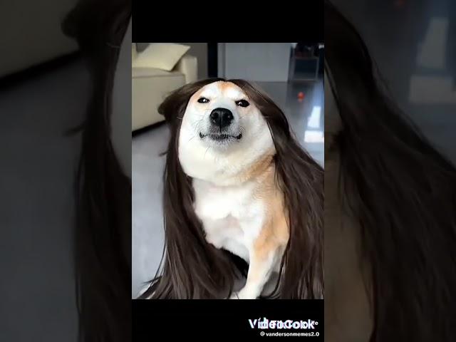 tente nao rir nivel : medio