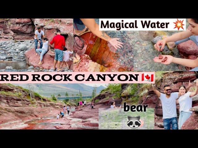 Red Rock Canyon  | Magical Water| Saini Family Vlog 7 | Waterton | 50 million years ago | canada